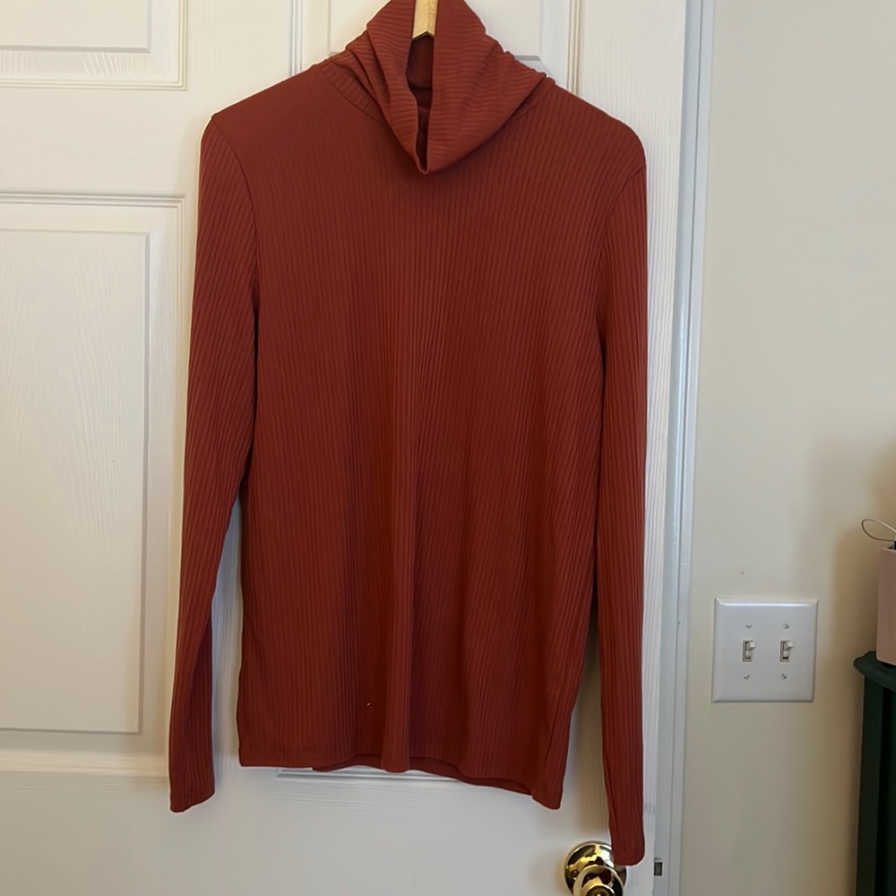 Madewell Turtleneck